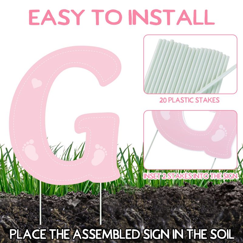 pink gender reveal letters signs and sticks
