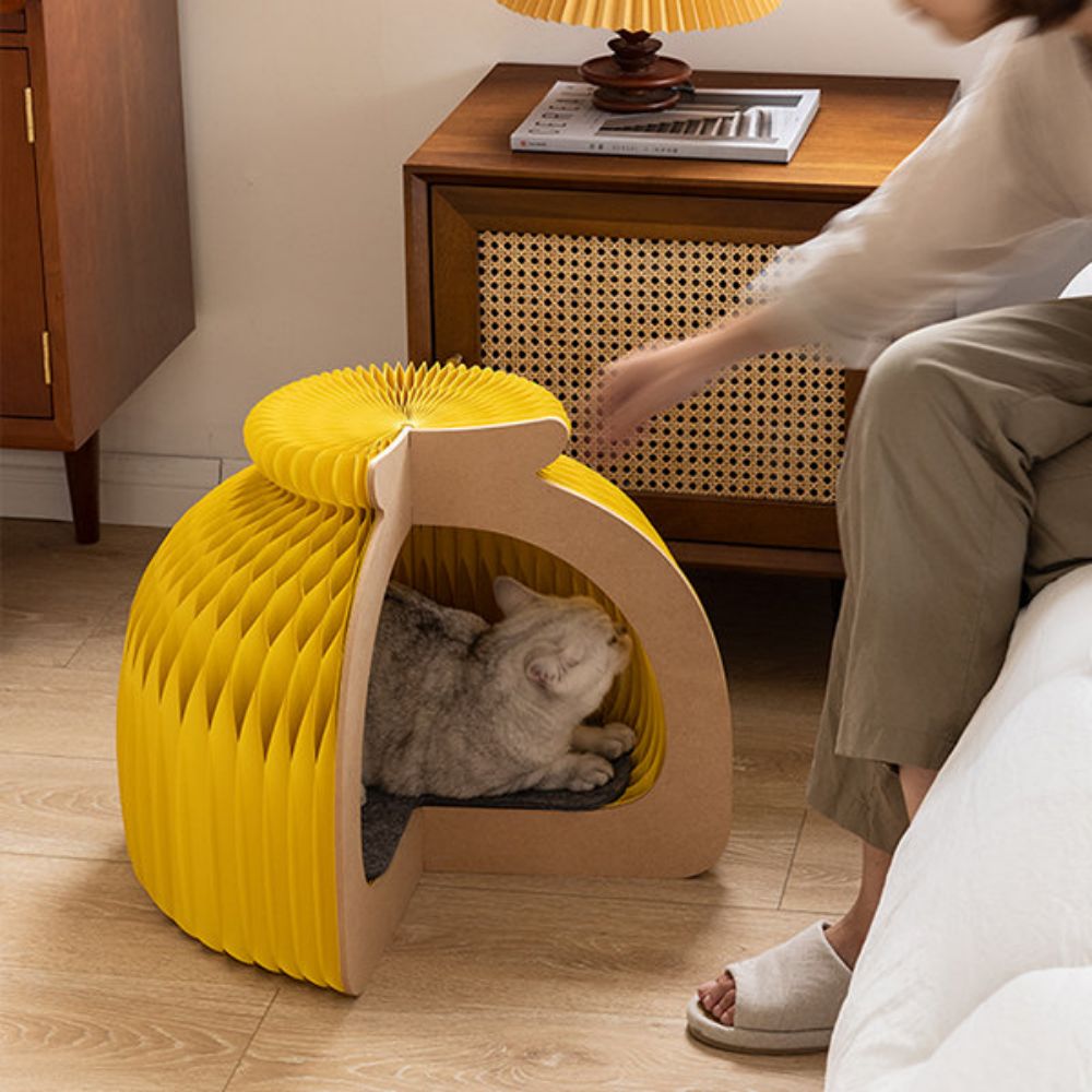 Foldable Paper Cat House
