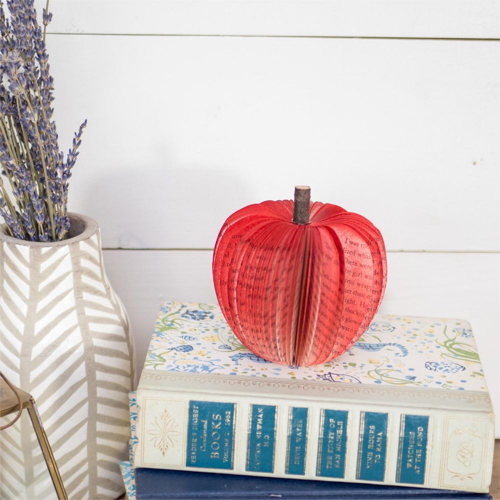 Personalized Book Apple Teacher Christmas Gifts Book Arts