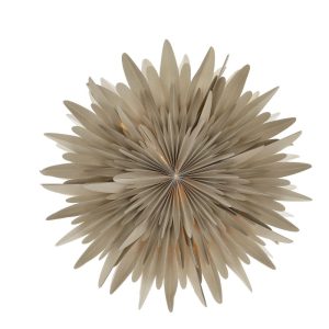 Beige Polka Dots Paper Advent Star Wholesale Manufacturer