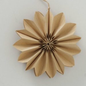 Natural Design Decorative Pendant Flower Paper Fan