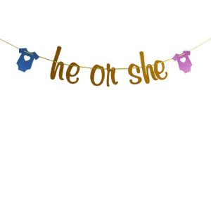 He or She Banner Gender Reveal Party Decorations Factory