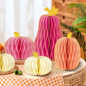 Pumpkin Pink and Orange 04