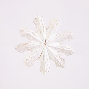 White Hollow Paper Star Lantern Decoration Supplier