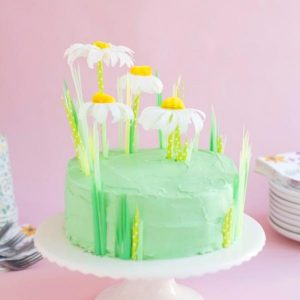 cake1