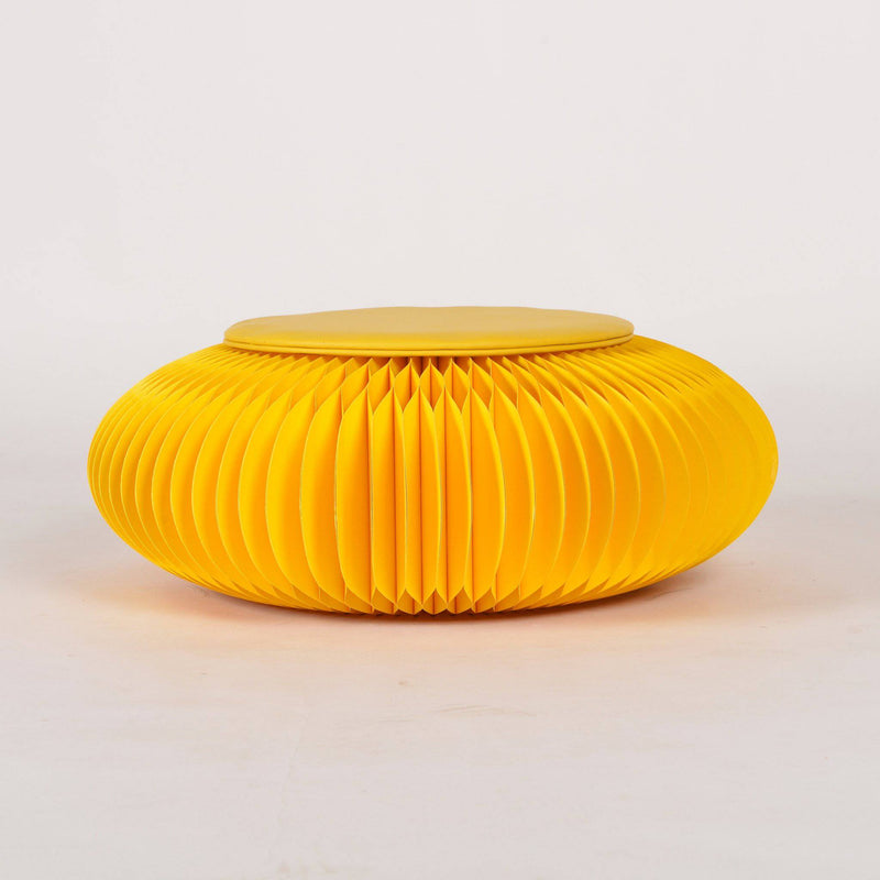 Untitled_design_24_cce7deae-5eeb-4f1a-b4eb-91b004ca24db_800x