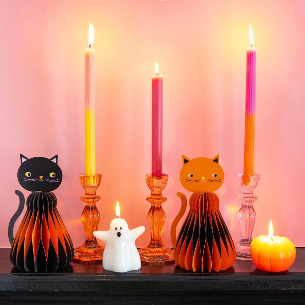 PUMPKIN-HCOMB-CAT-01