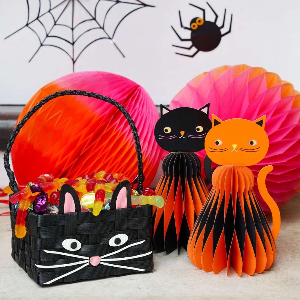 PUMPKIN-HCOMB-CAT