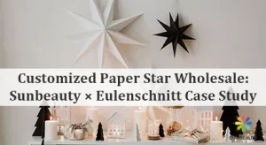 Customized Paper Star Wholesale Sunbeauty×Eulenschnitt Case Study