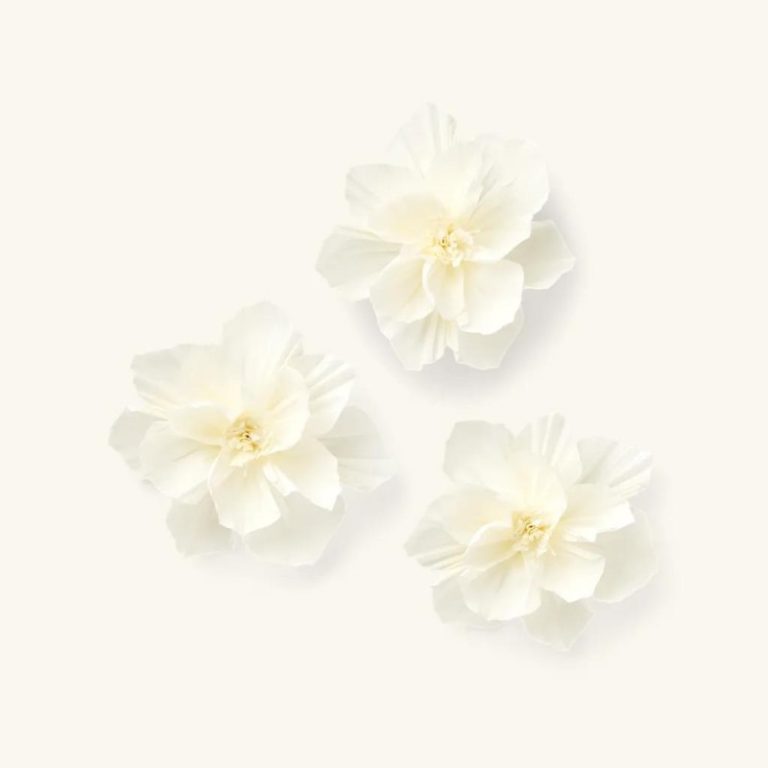 Crepe paper flowers _ Paper. 12 x 1 2 cm. 3 pcs