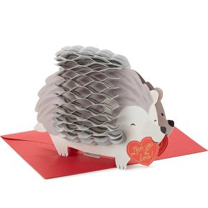 Honeycomb Hedgehog Paper Pop Up Valentines Cards Factory Wholesale