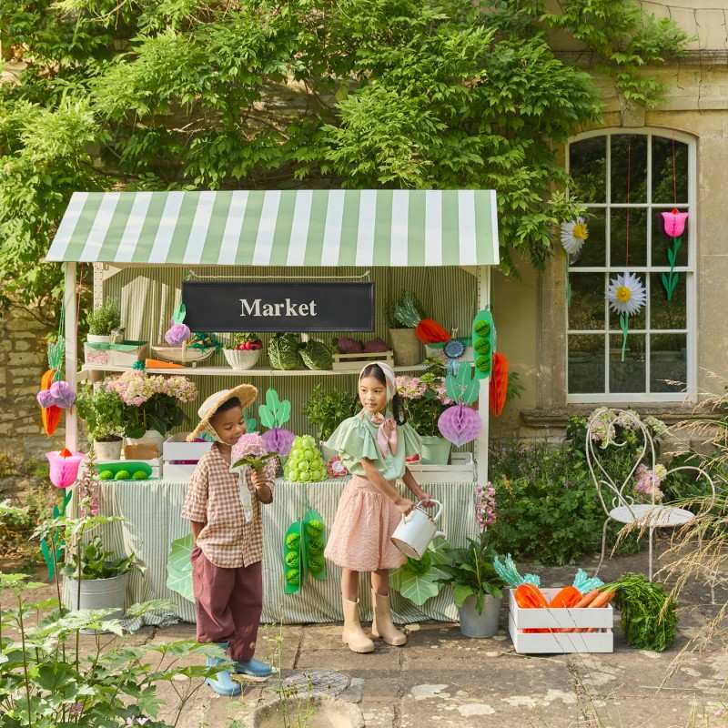 Sunbeauty Giant vegetable honeycomb party decorations (carrots, cabbages, turnips, peas)