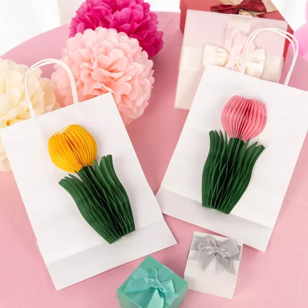 customized party paper bags wholesale supplier